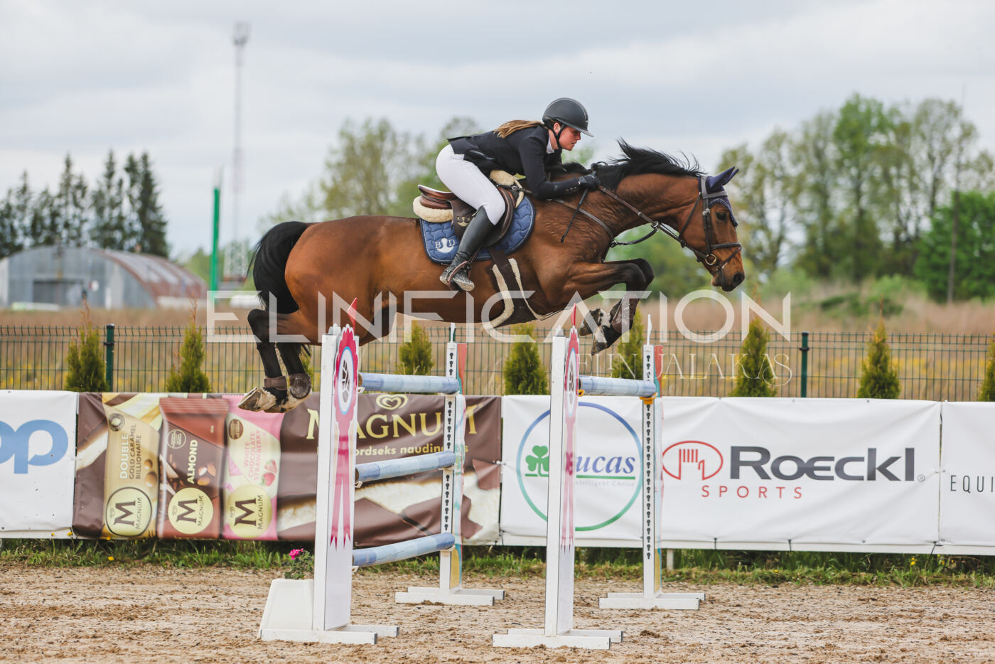 Gramina_Kevad_2026_140_118