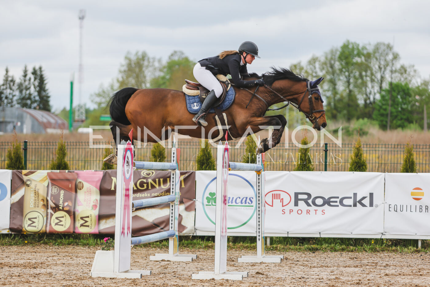 Gramina_Kevad_2026_140_119