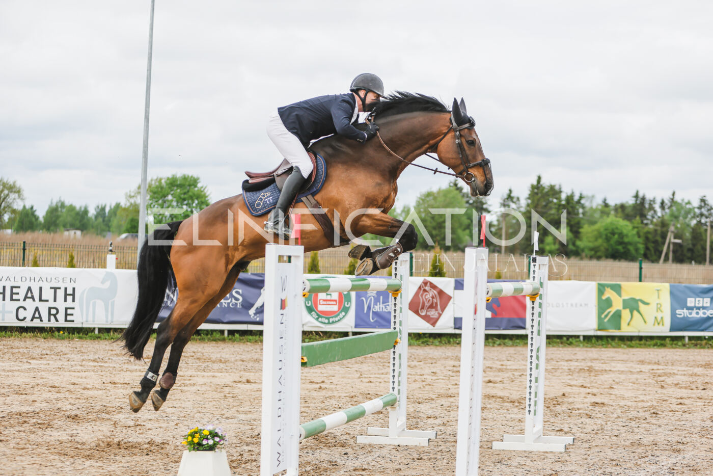 Gramina_Kevad_2026_140_120