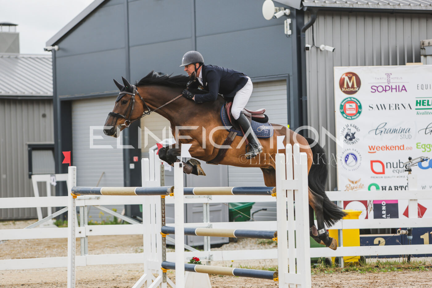 Gramina_Kevad_2026_140_124