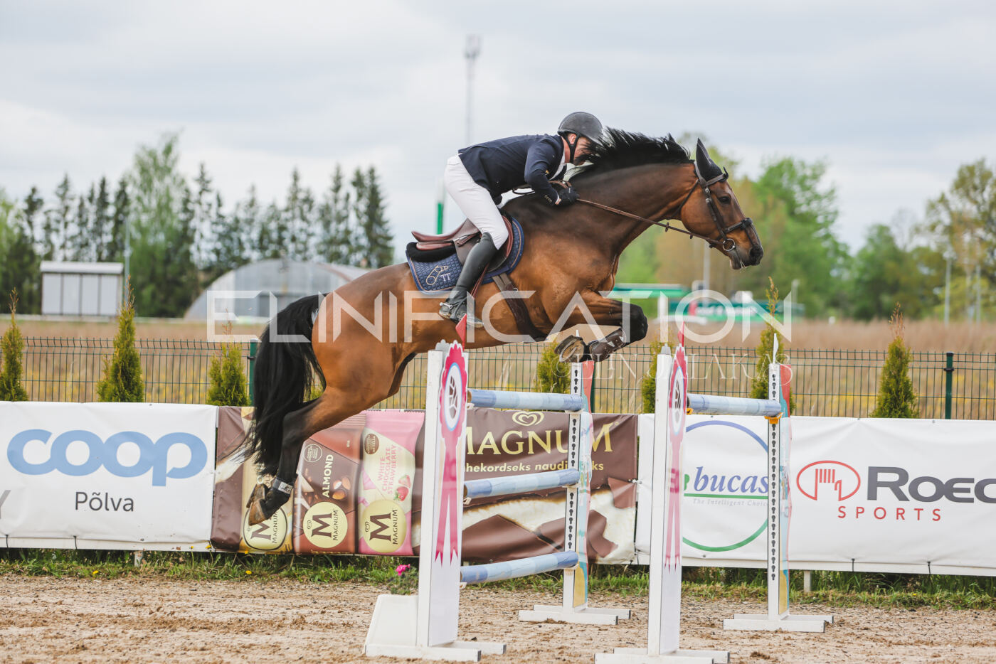 Gramina_Kevad_2026_140_129