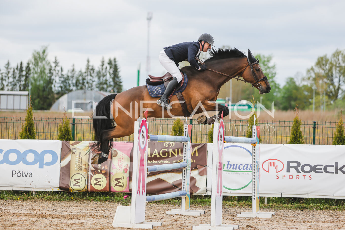 Gramina_Kevad_2026_140_130