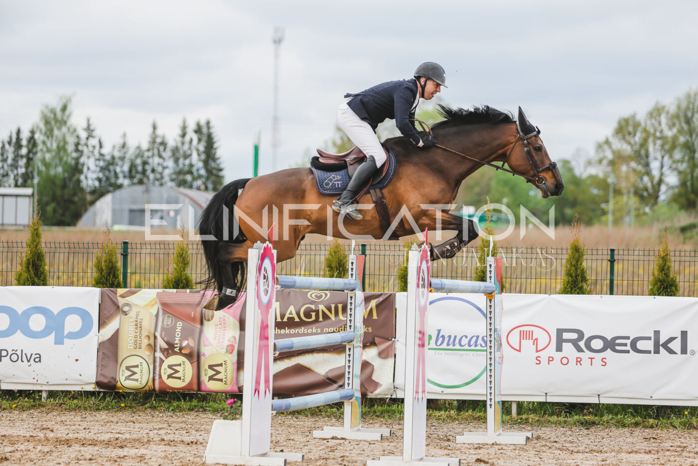 Gramina_Kevad_2026_140_131