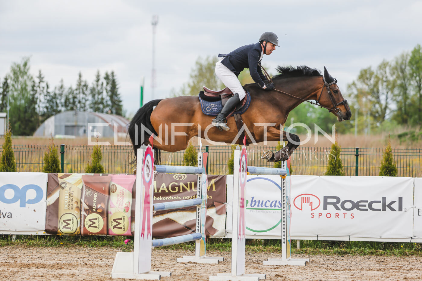 Gramina_Kevad_2026_140_132