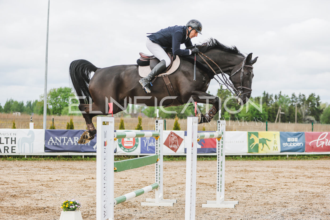 Gramina_Kevad_2026_140_135