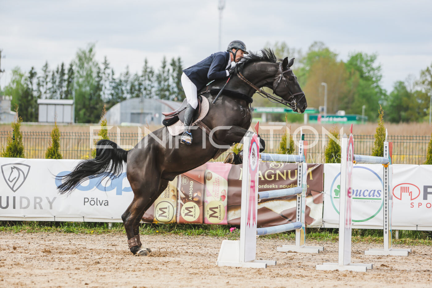 Gramina_Kevad_2026_140_137