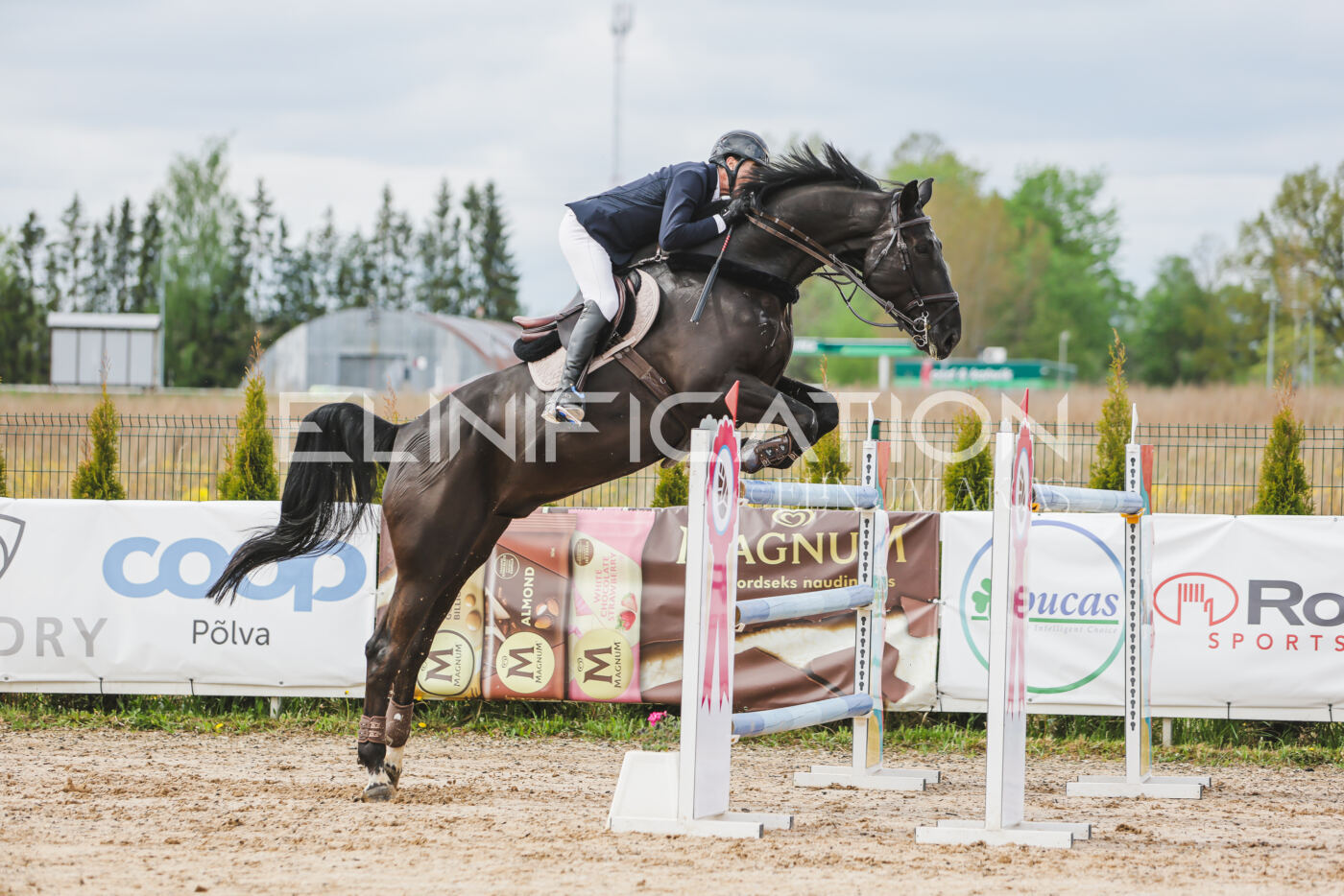 Gramina_Kevad_2026_140_138