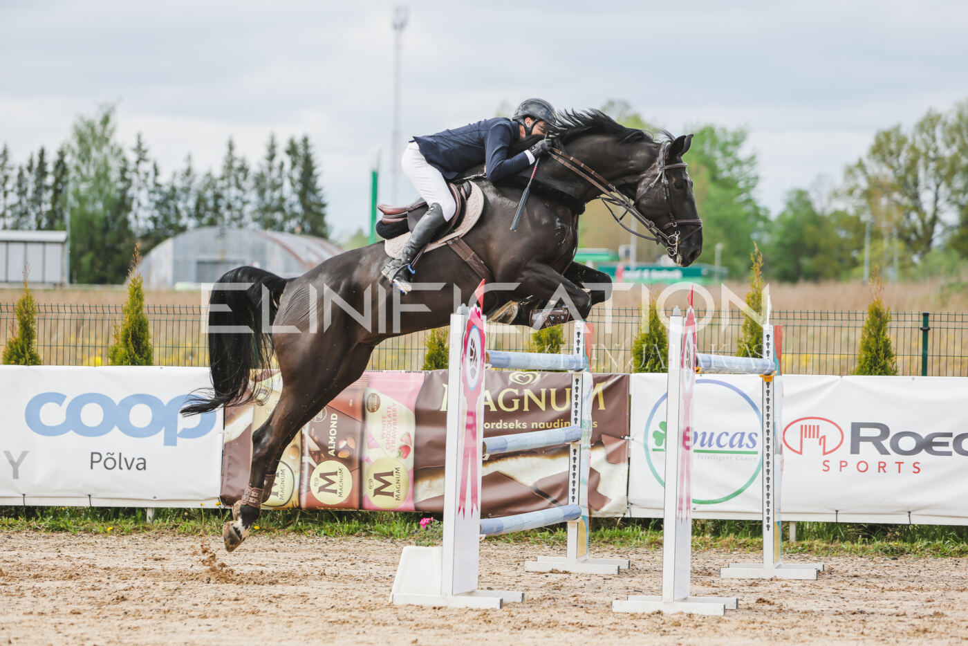 Gramina_Kevad_2026_140_139