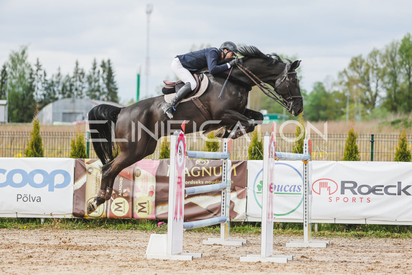 Gramina_Kevad_2026_140_140