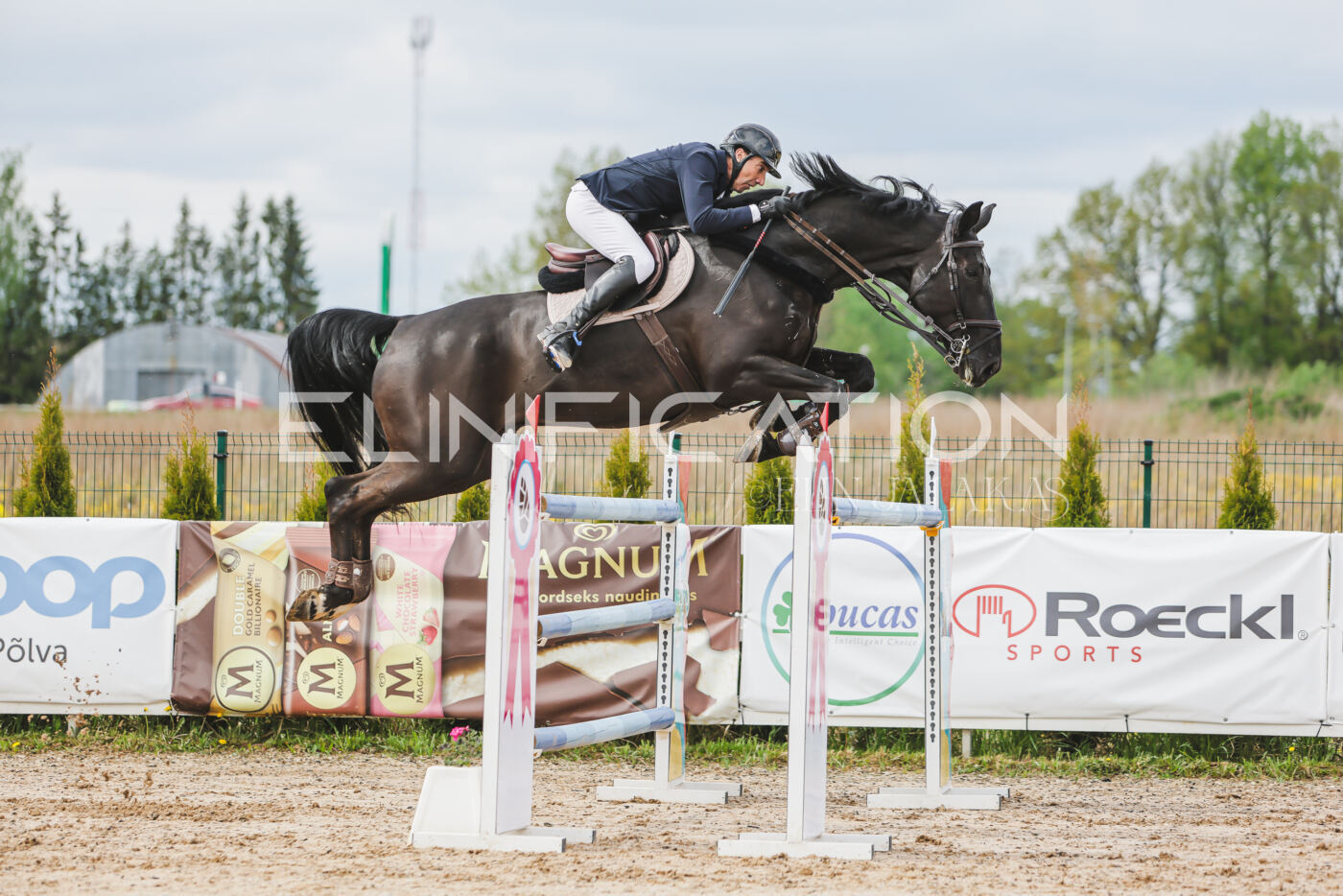Gramina_Kevad_2026_140_141
