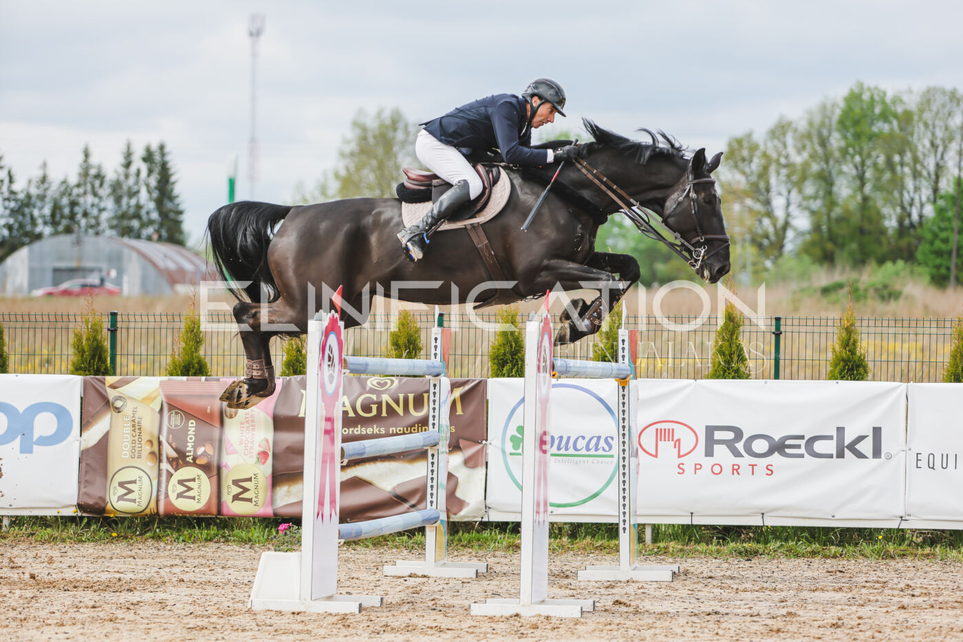Gramina_Kevad_2026_140_142