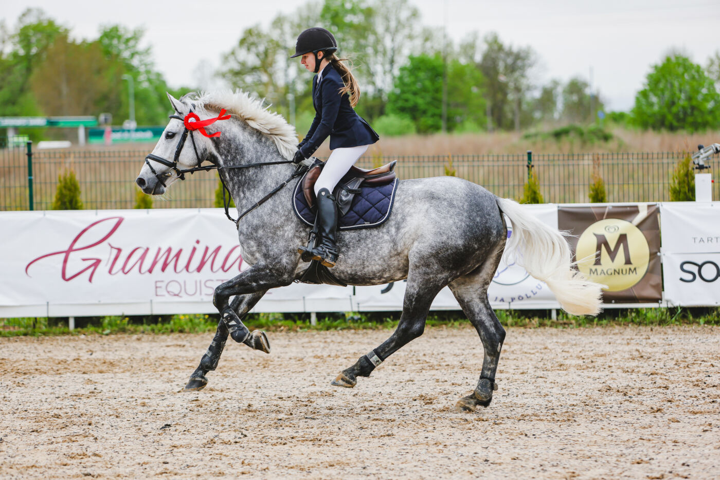 Gramina_Kevad_2026_02_AT105_18