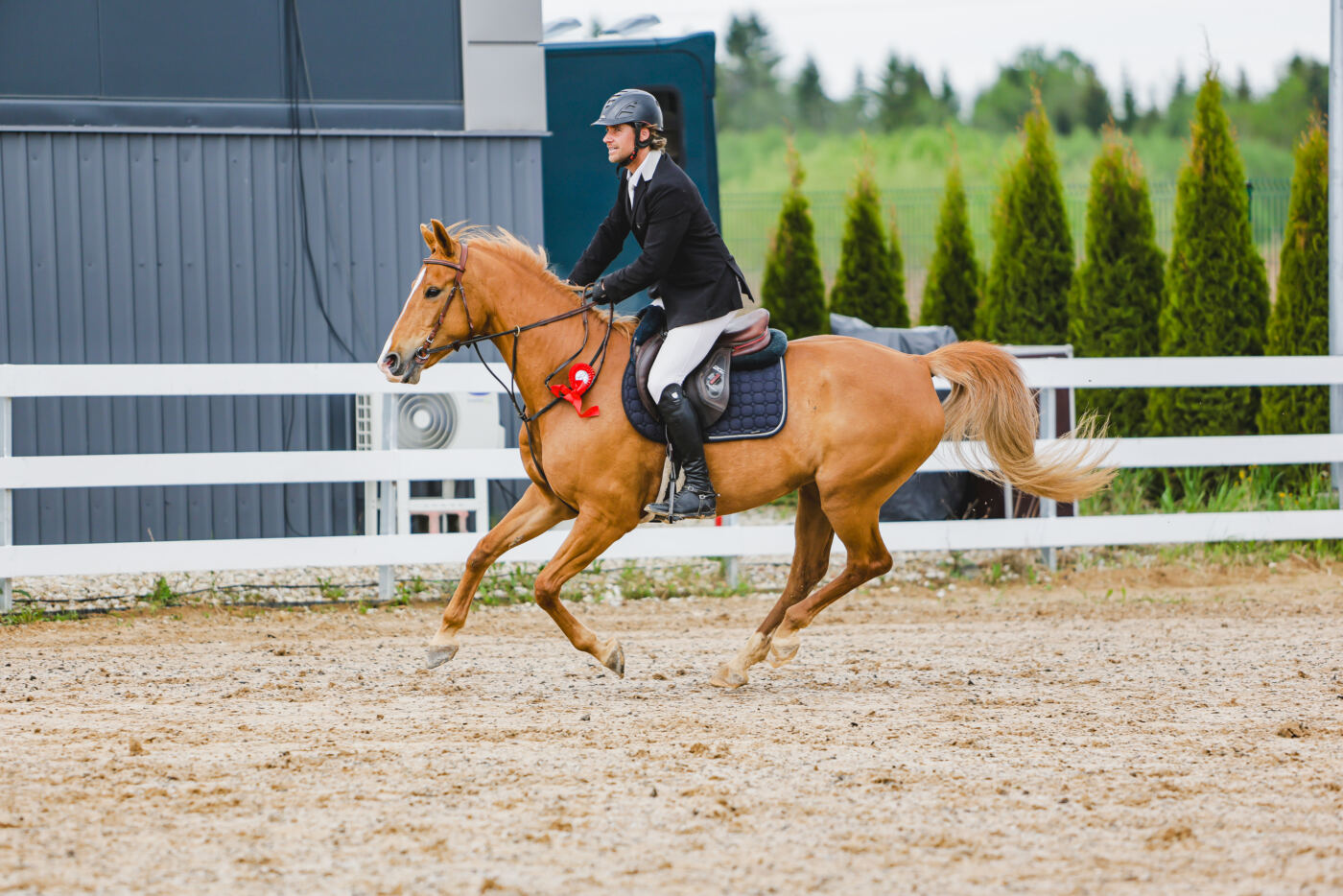 Gramina_Kevad_2026_03_AT115_09
