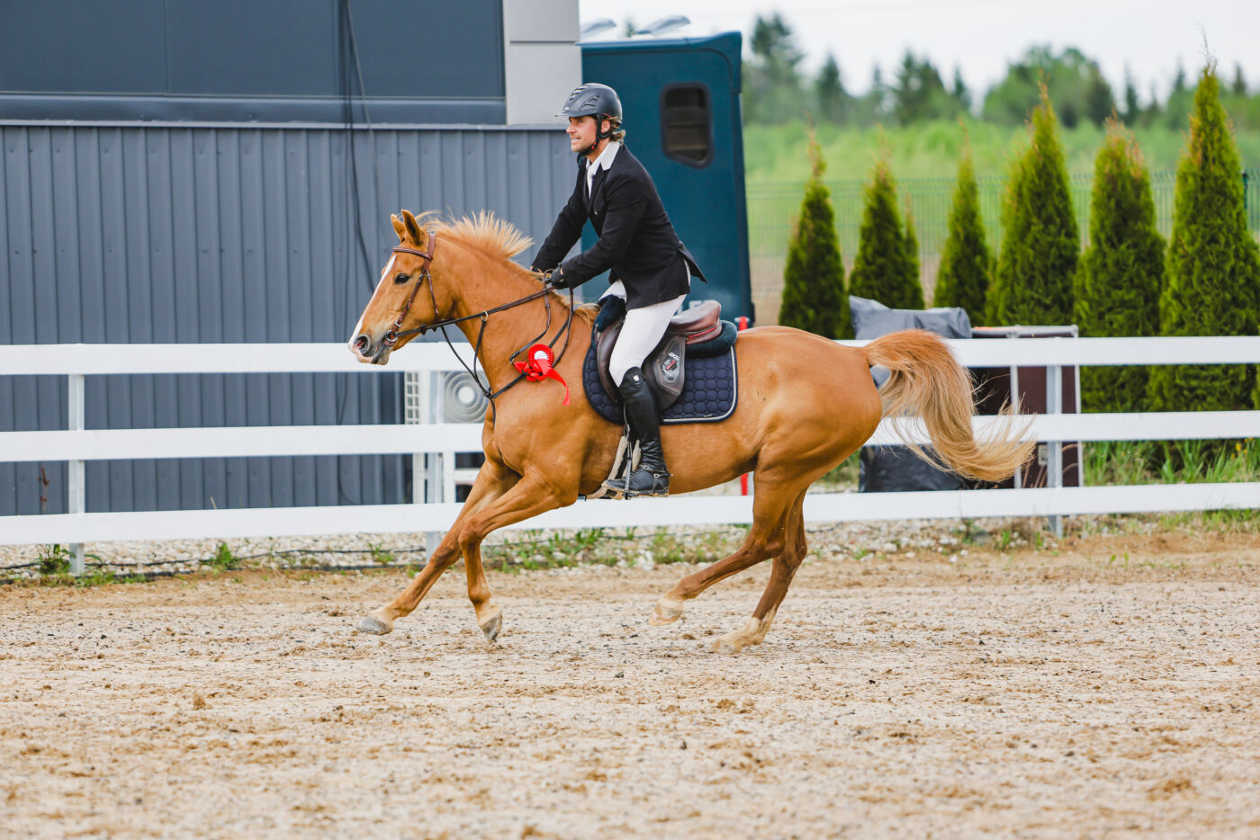 Gramina_Kevad_2026_03_AT115_10