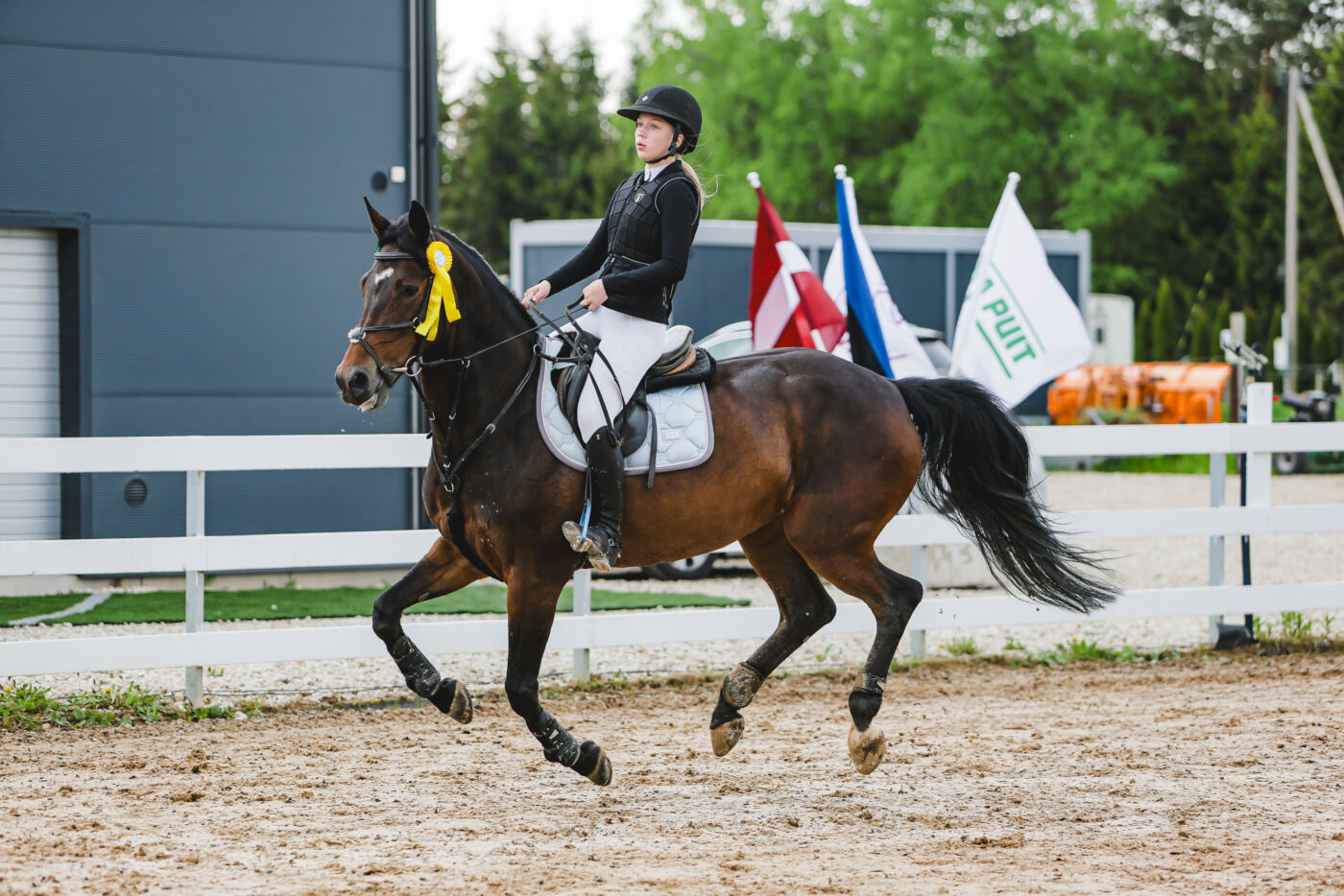 Gramina_Kevad_2026_03_AT115_15