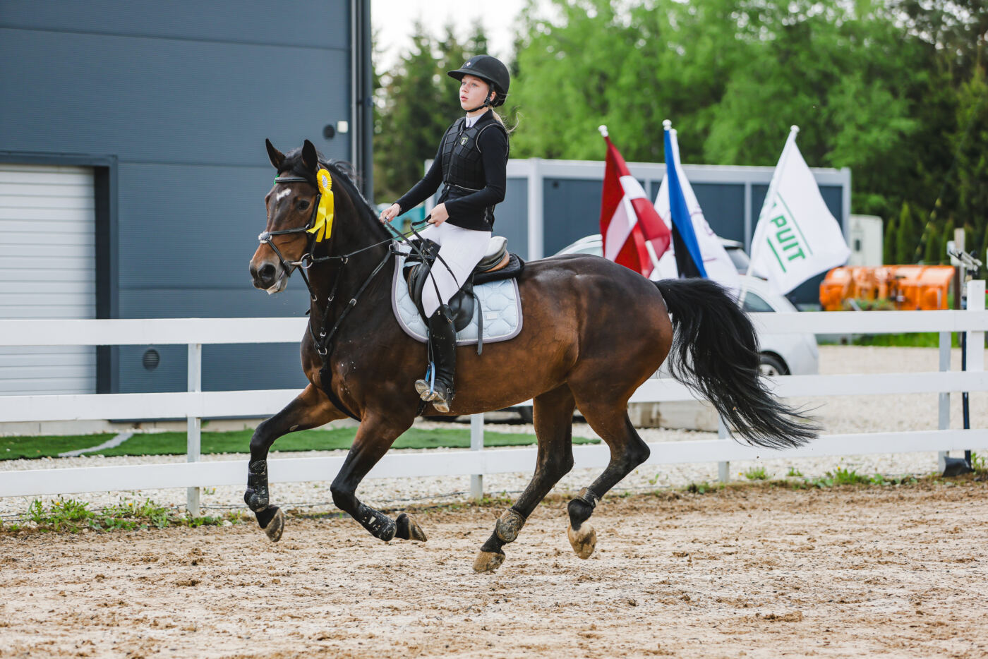 Gramina_Kevad_2026_03_AT115_16
