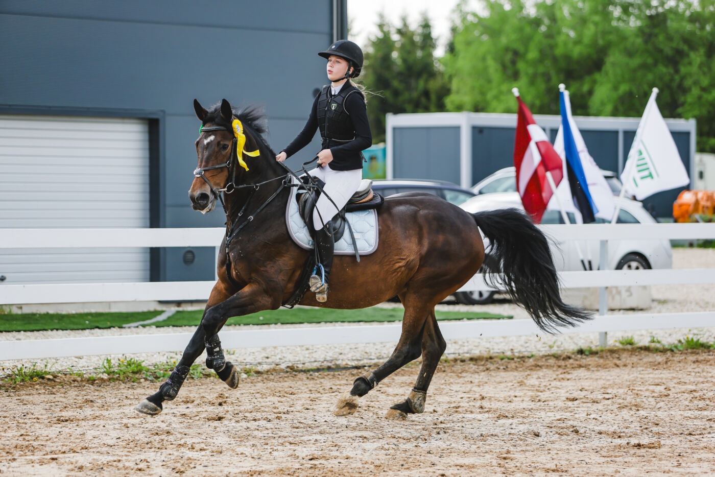 Gramina_Kevad_2026_03_AT115_18