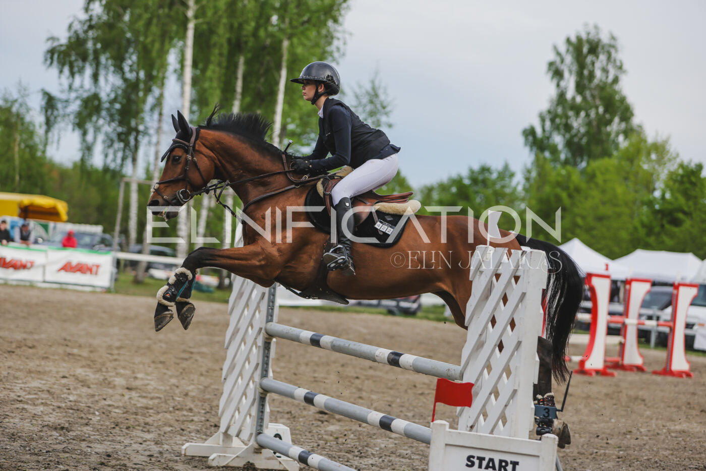 Parnu_CHI_SJ_2026_110_410