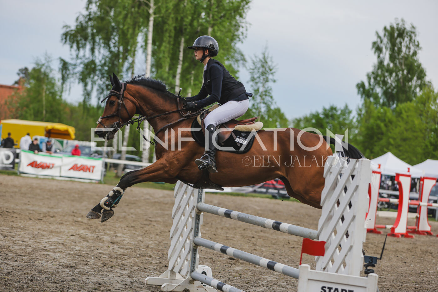 Parnu_CHI_SJ_2026_110_411