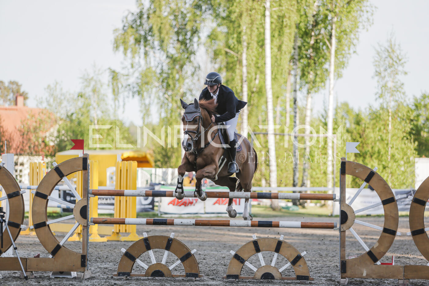Parnu_CHI_SJ_2026_130_319