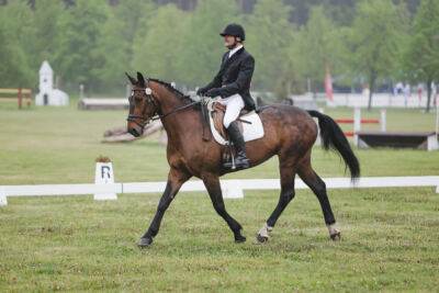 Parnu_CHI_3V_2026_CCI2-S_KS_004