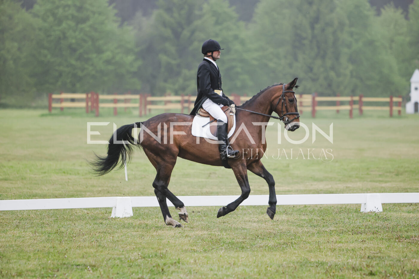 Parnu_CHI_3V_2026_CCI2-S_KS_007