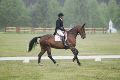 Parnu_CHI_3V_2026_CCI2-S_KS_009