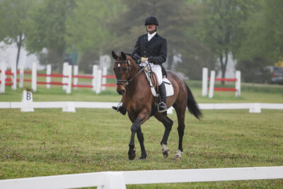 Parnu_CHI_3V_2026_CCI2-S_KS_013