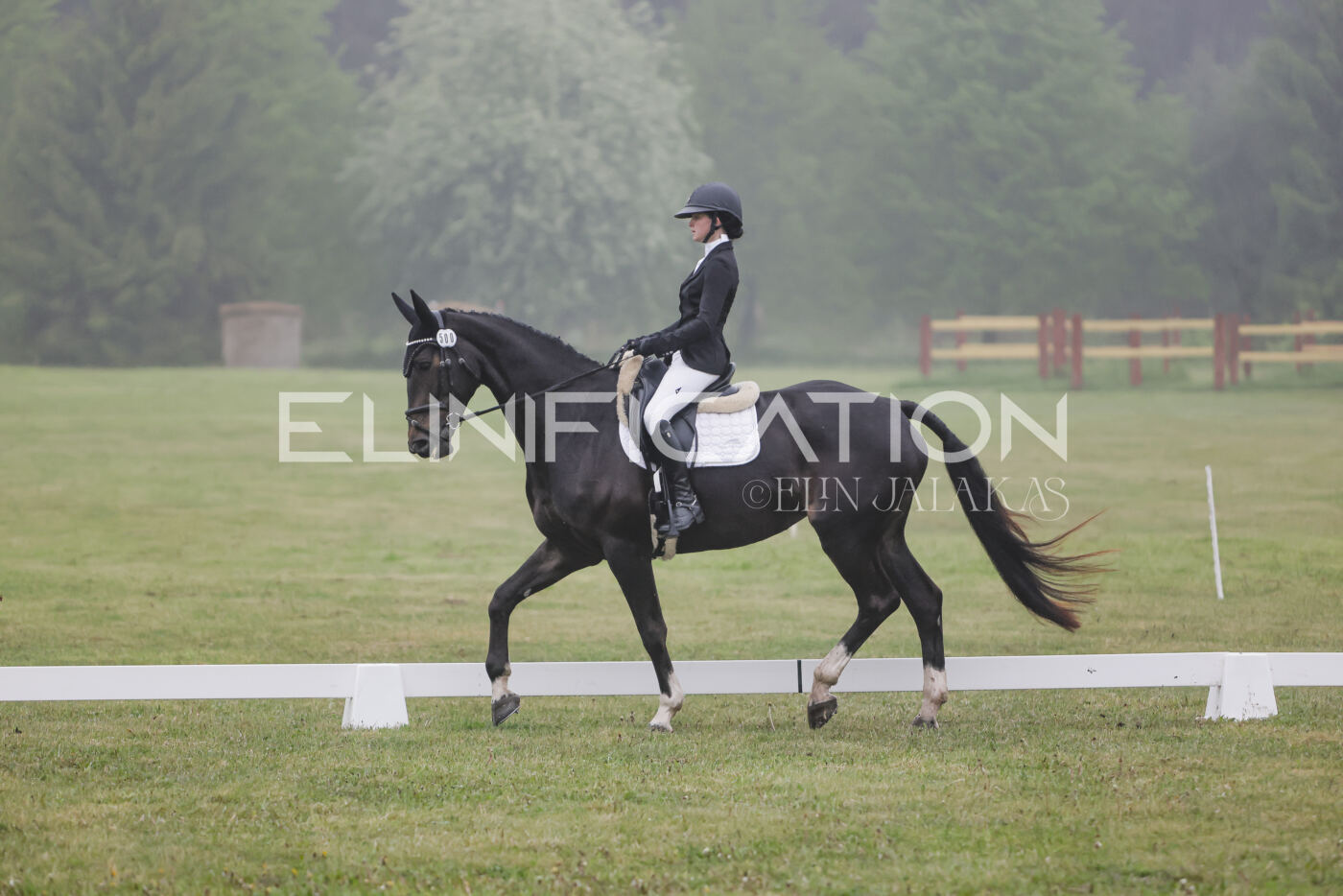 Parnu_CHI_3V_2026_CCI2-S_KS_029