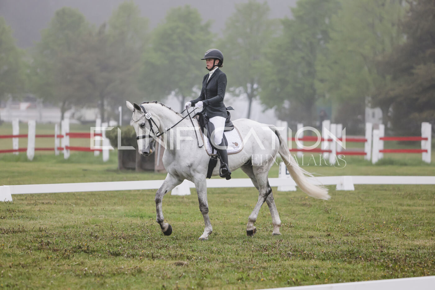 Parnu_CHI_3V_2026_CCI2-S_KS_065