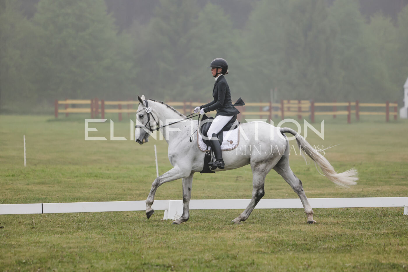 Parnu_CHI_3V_2026_CCI2-S_KS_097