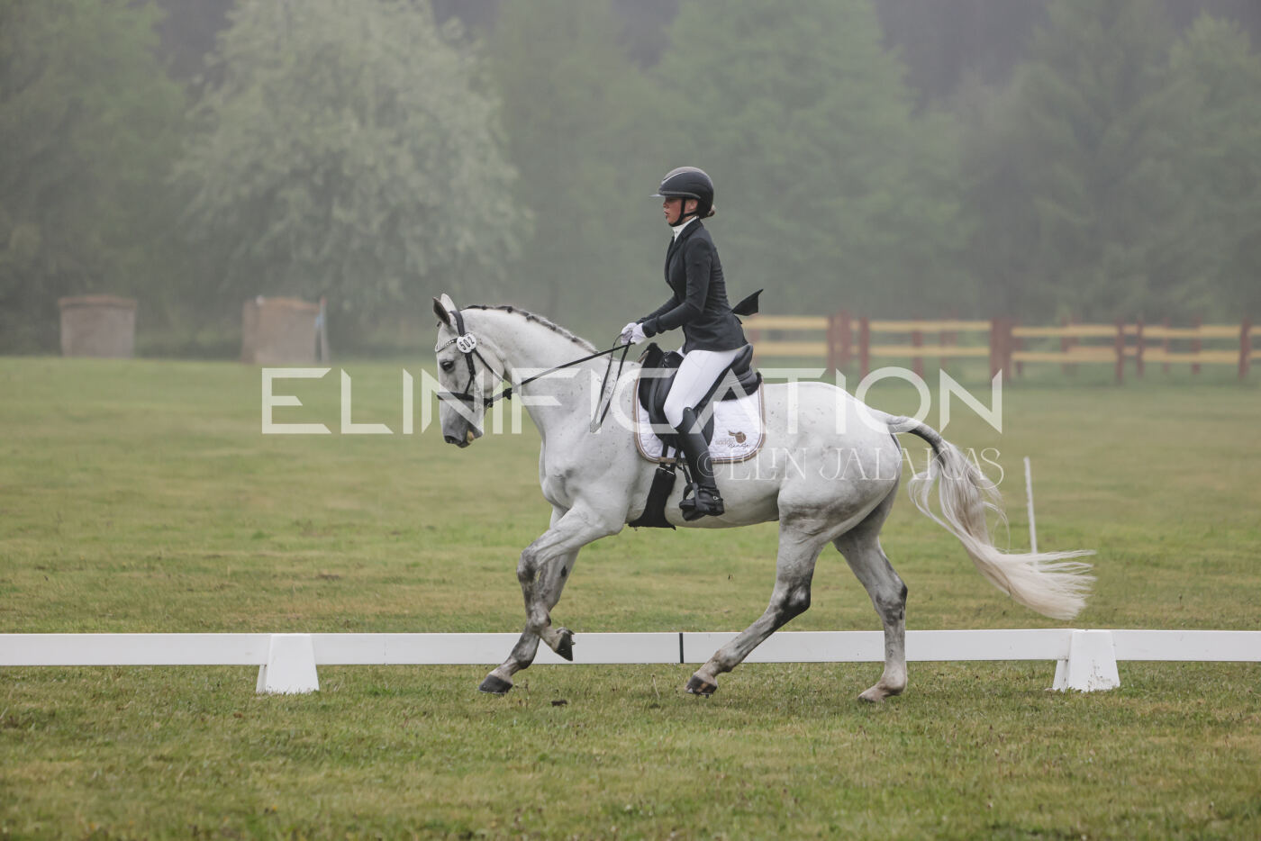 Parnu_CHI_3V_2026_CCI2-S_KS_099
