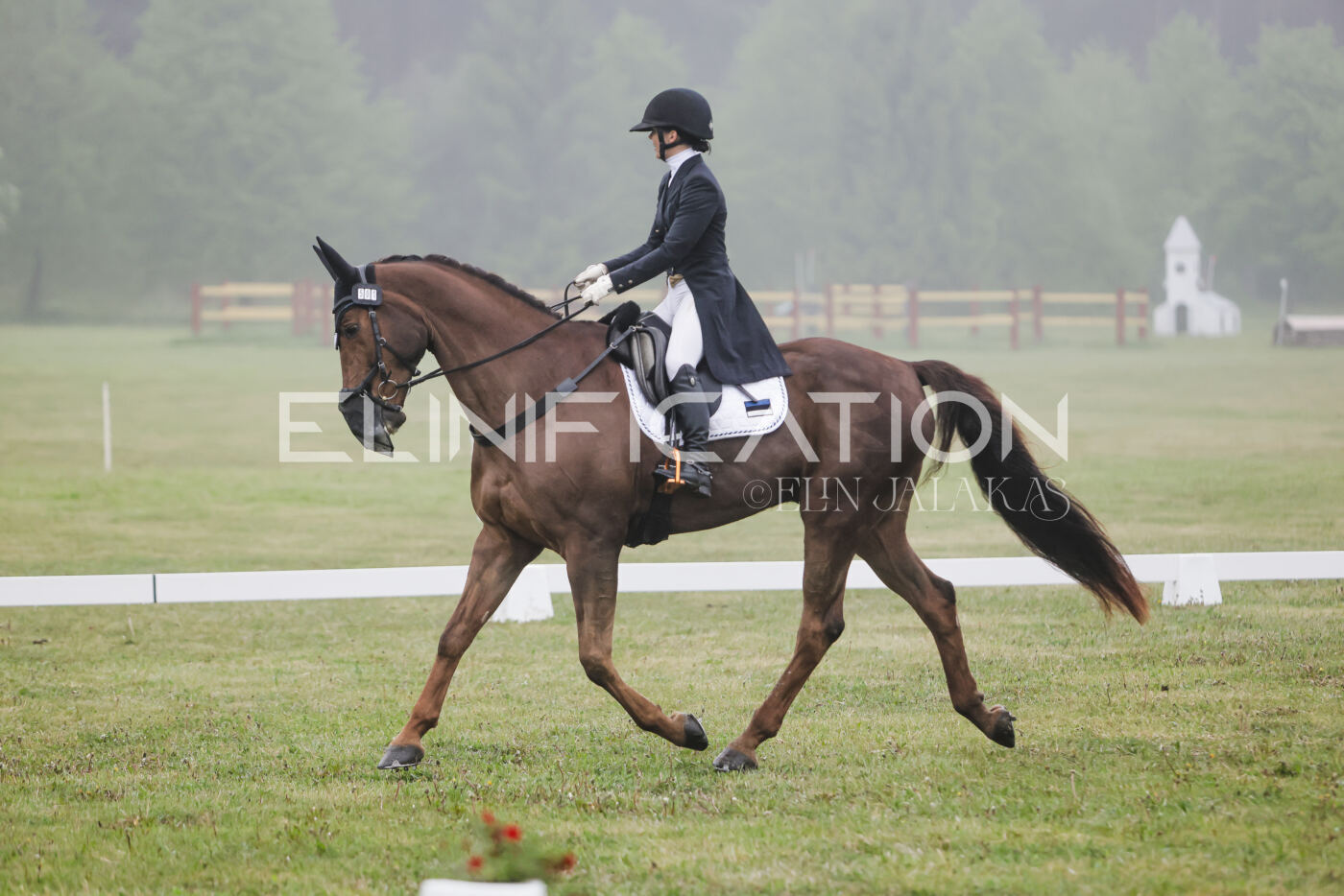 Parnu_CHI_3V_2026_CCI2-S_KS_107