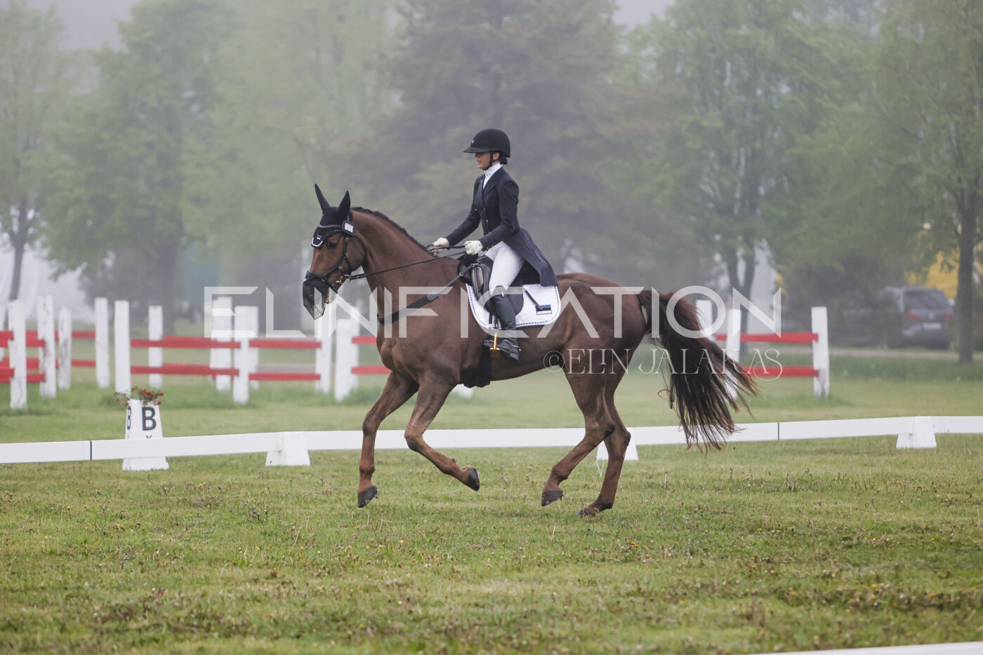 Parnu_CHI_3V_2026_CCI2-S_KS_110