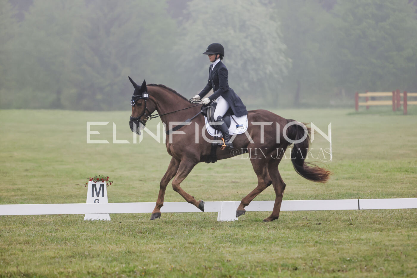 Parnu_CHI_3V_2026_CCI2-S_KS_120