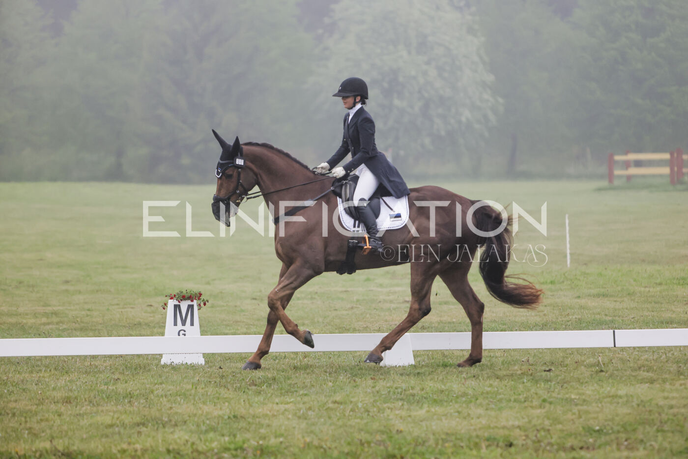 Parnu_CHI_3V_2026_CCI2-S_KS_121