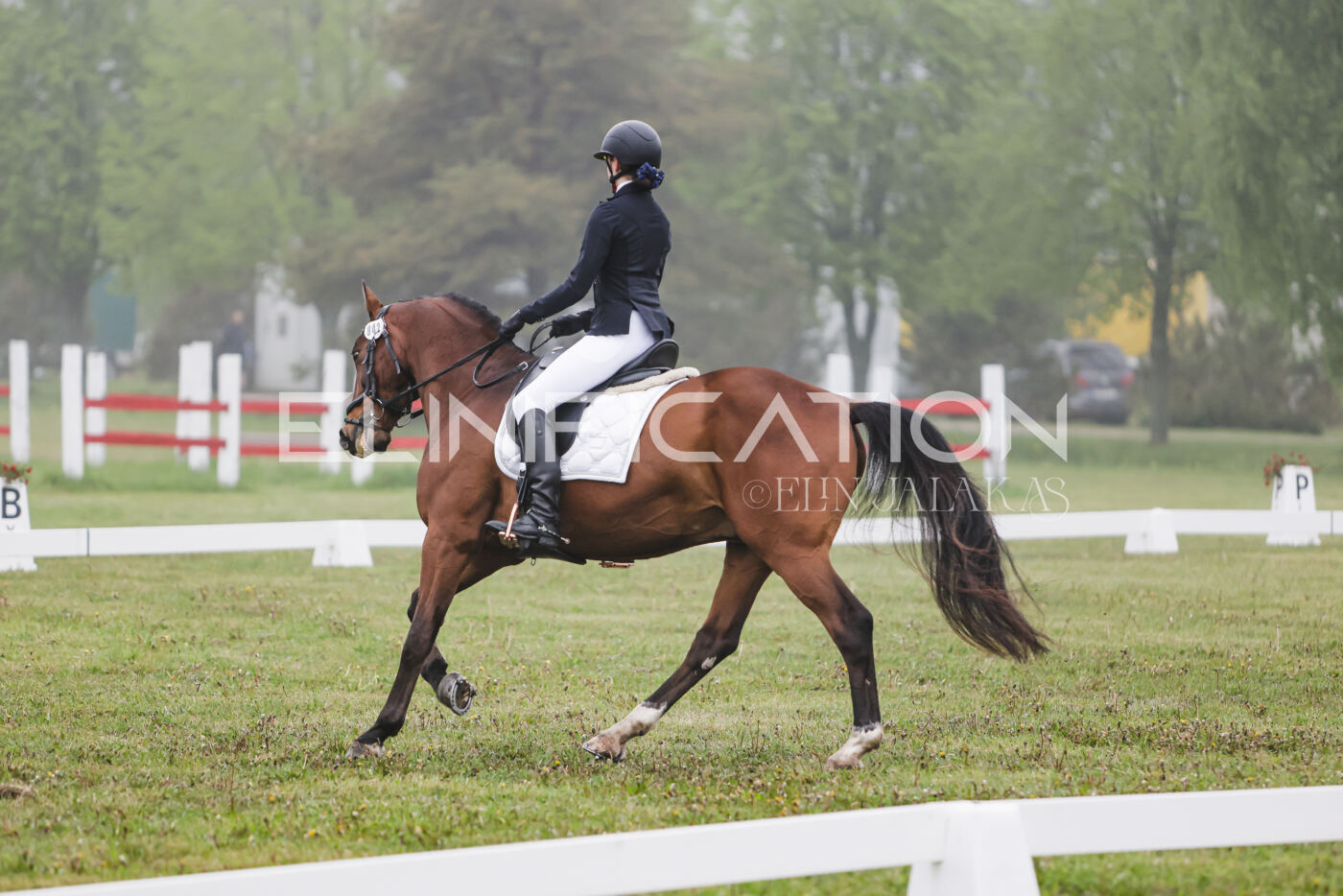Parnu_CHI_3V_2026_CCN100_KS_012