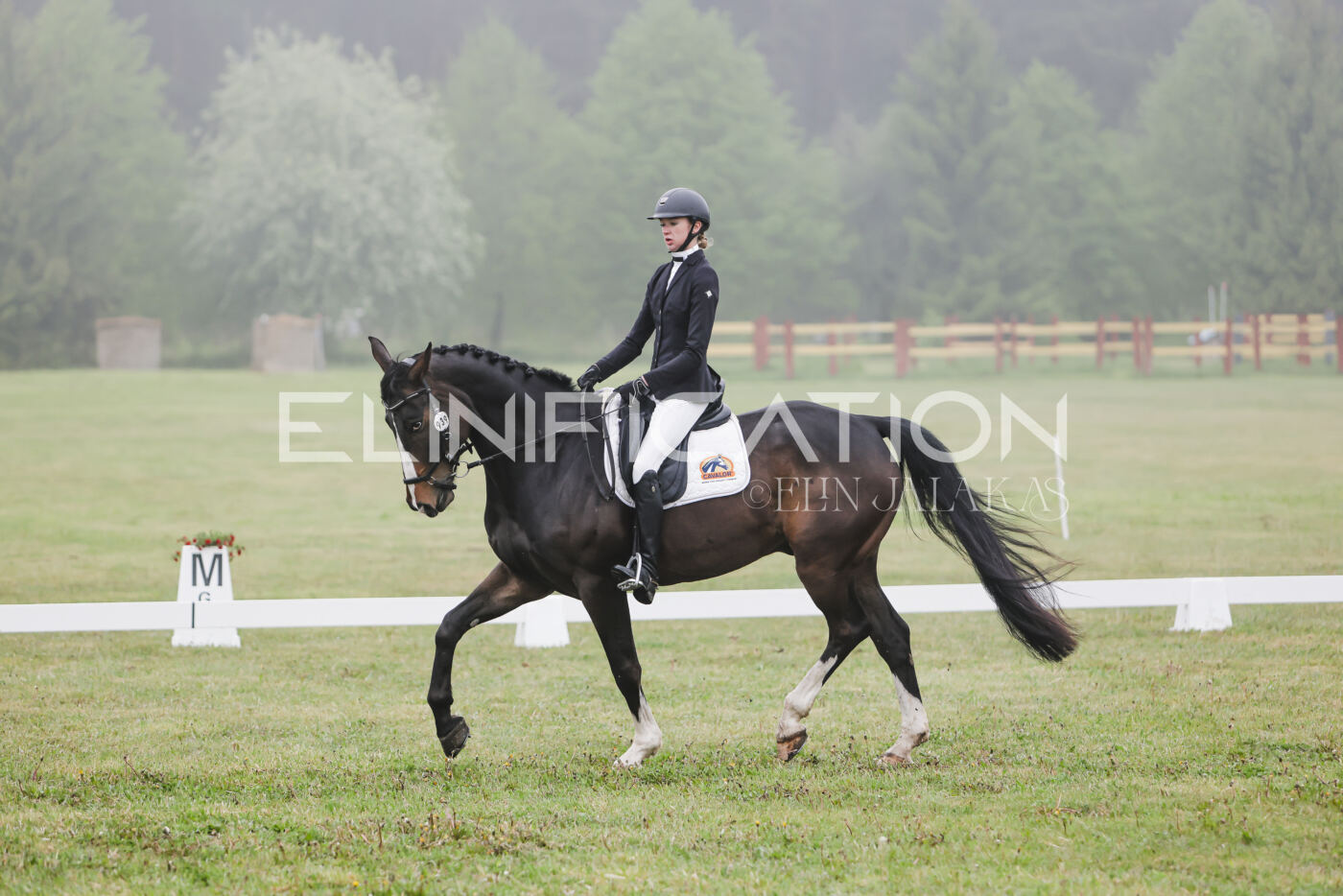 Parnu_CHI_3V_2026_CCN100_KS_046