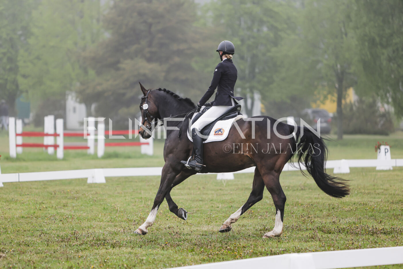 Parnu_CHI_3V_2026_CCN100_KS_049