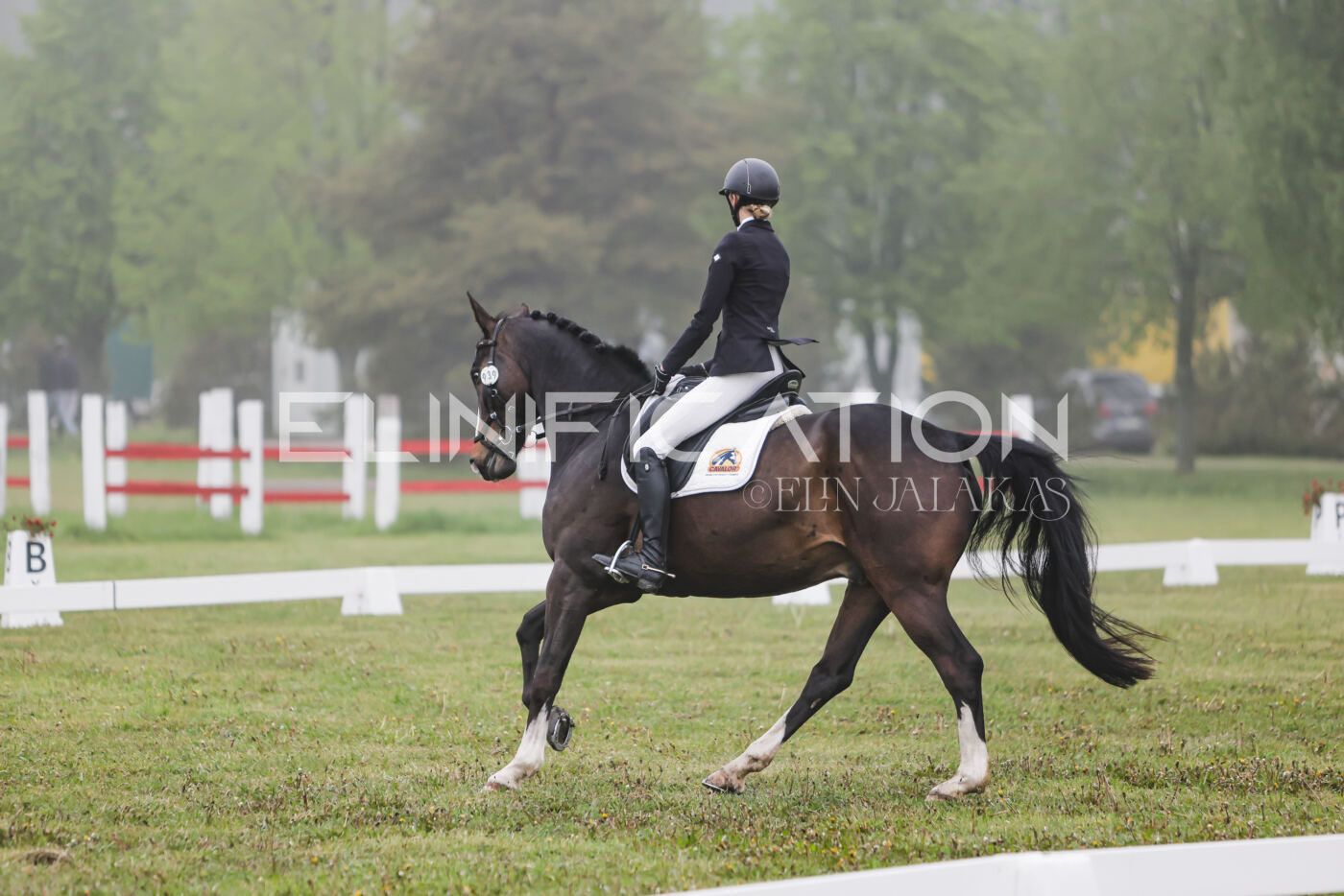Parnu_CHI_3V_2026_CCN100_KS_050