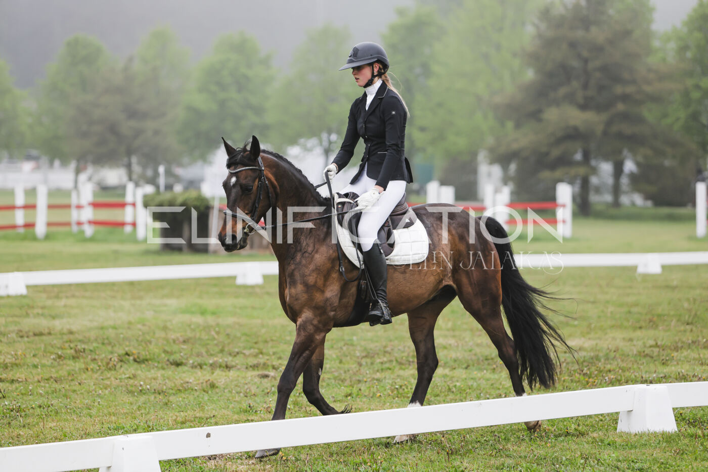 Parnu_CHI_3V_2026_CCN100_KS_066
