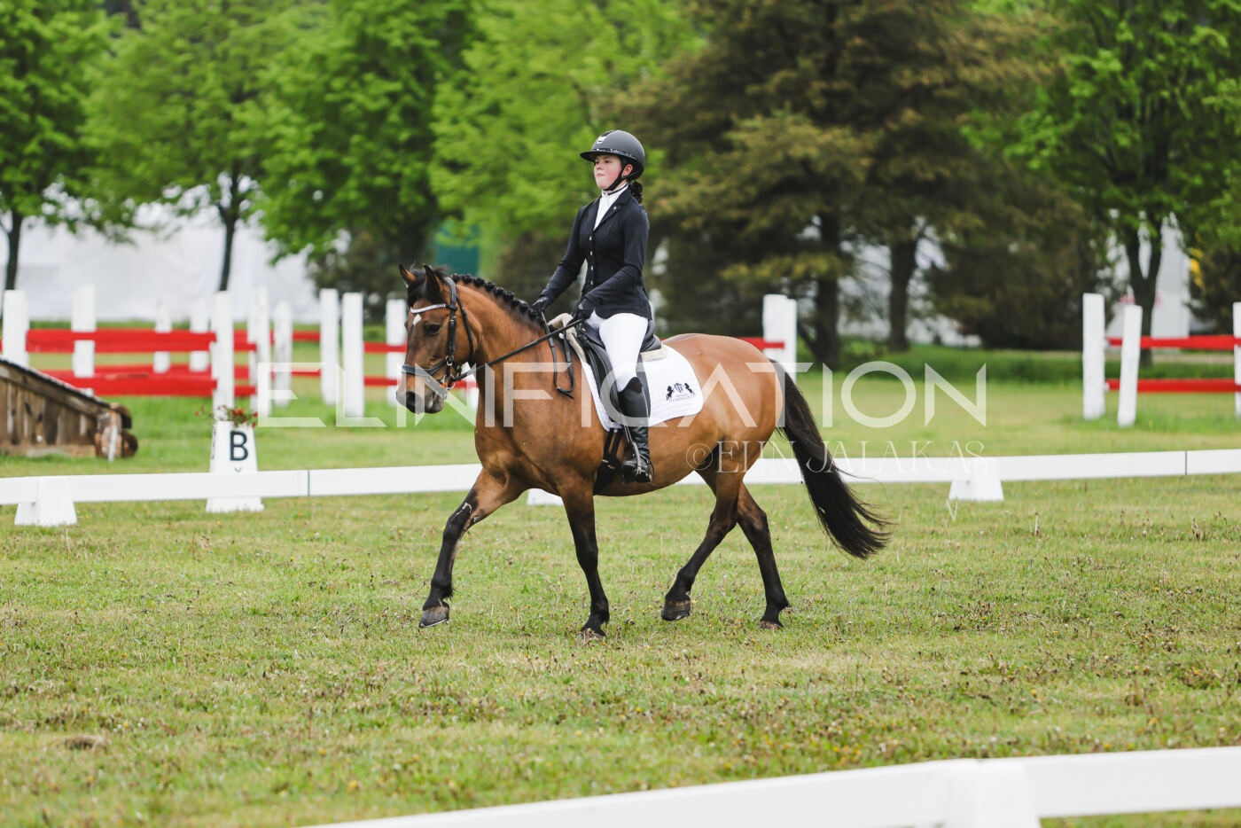 Parnu_CHI_3V_2026_CCN100_KS_118