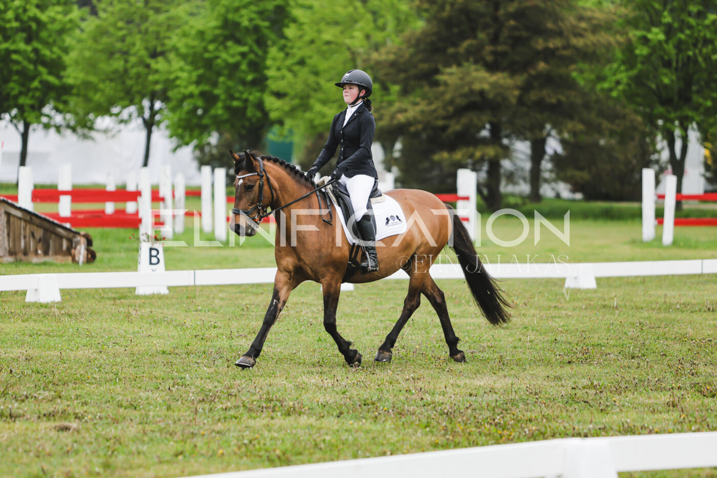Parnu_CHI_3V_2026_CCN100_KS_119