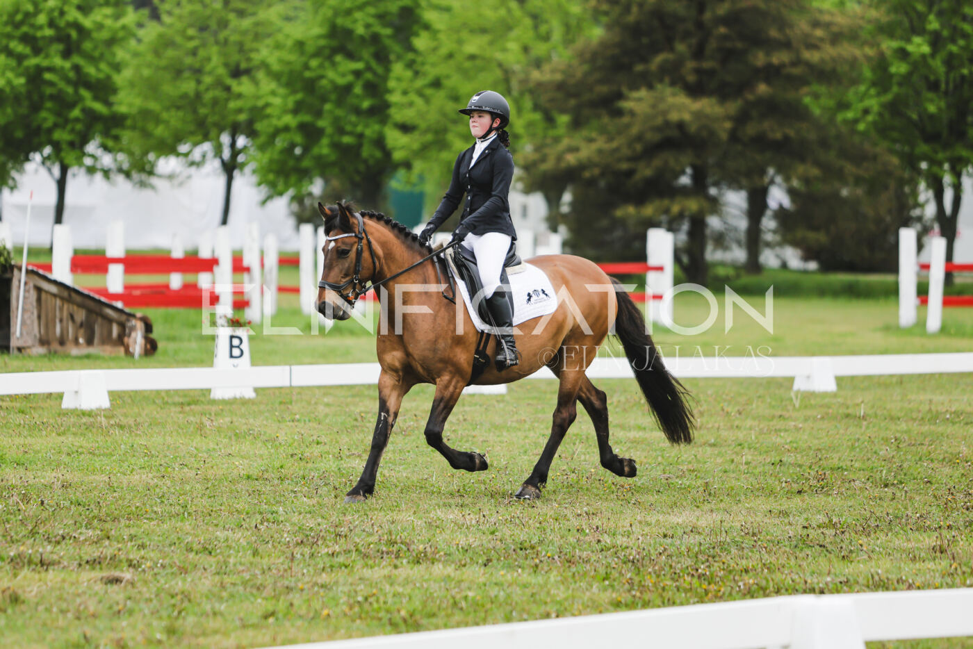 Parnu_CHI_3V_2026_CCN100_KS_120