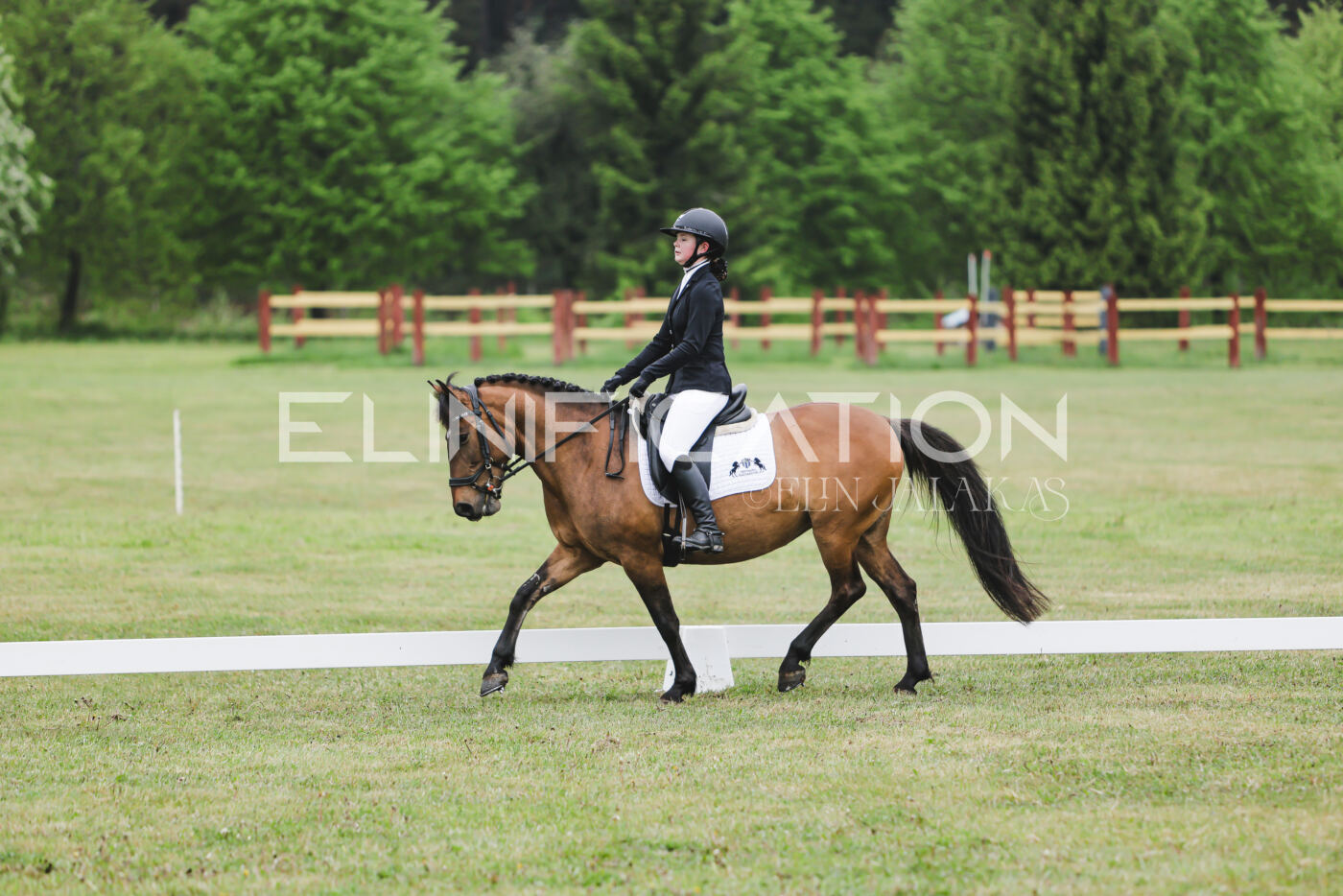 Parnu_CHI_3V_2026_CCN100_KS_127
