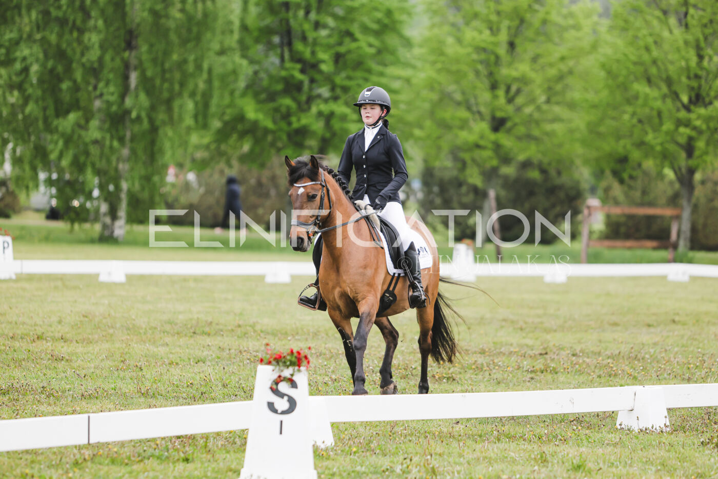 Parnu_CHI_3V_2026_CCN100_KS_132