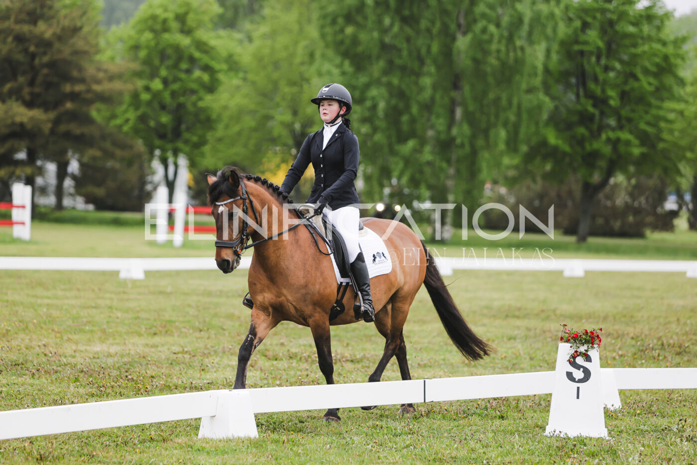 Parnu_CHI_3V_2026_CCN100_KS_134