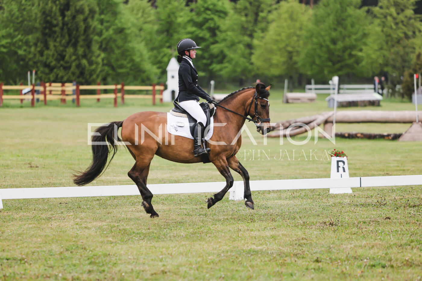 Parnu_CHI_3V_2026_CCN100_KS_136