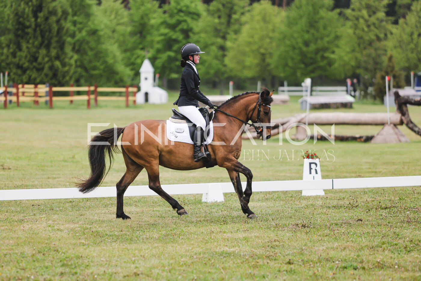 Parnu_CHI_3V_2026_CCN100_KS_138