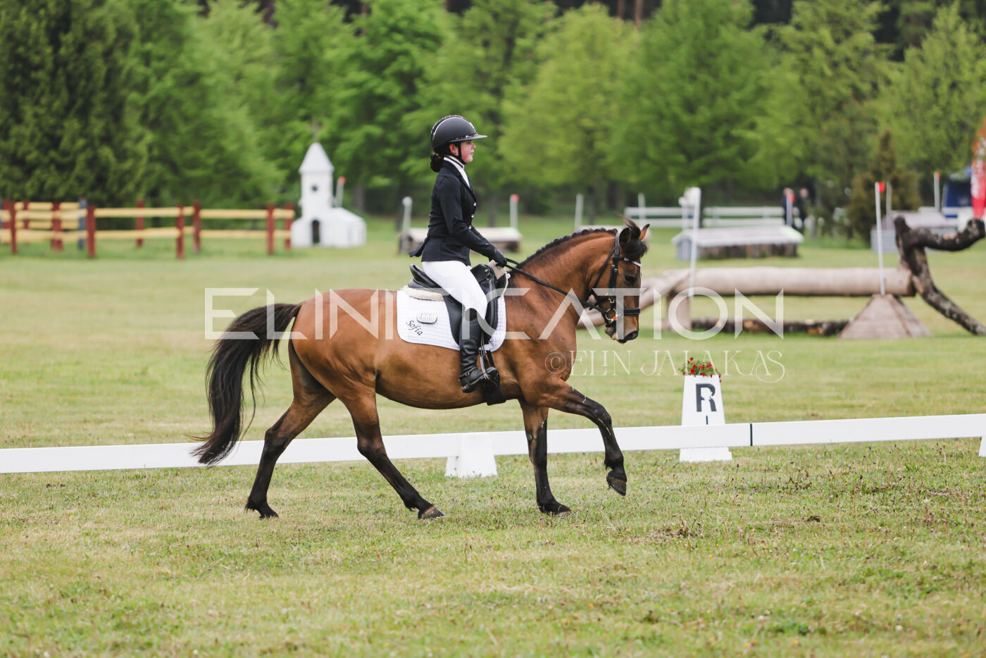 Parnu_CHI_3V_2026_CCN100_KS_139